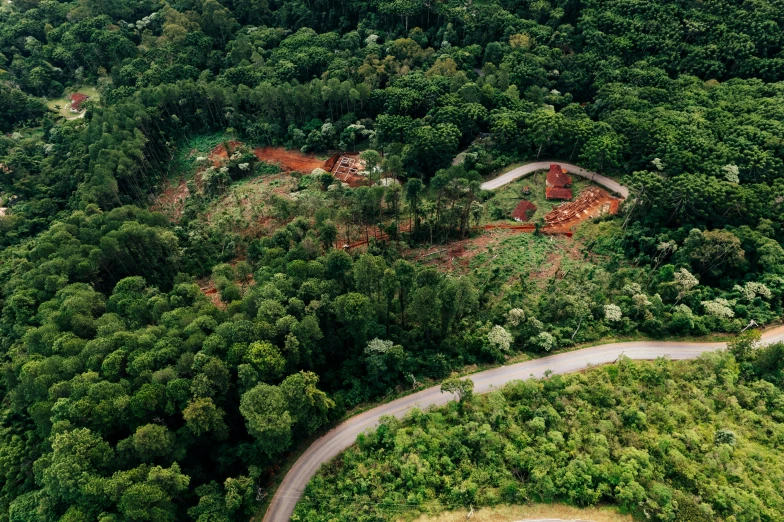 a road winding through a lush green forest, hurufiyya, alvaro siza, destroyed forest, promo image, clearing. full shot