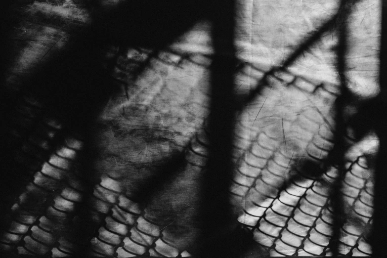 a black and white photo of a fence, by Raoul Ubac, lyrical abstraction, fishnets, snakeskin, consist of shadow, nizou yamamoto