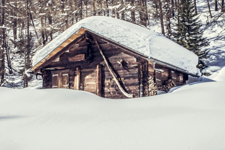 a small cabin in the middle of a snowy forest, pexels contest winner, renaissance, fan favorite, log cabin beneath the alps, vintage photo, profile pic