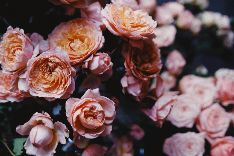 a bunch of pink flowers sitting on top of a table, by Carey Morris, pexels, crown of peach roses, dark hues, pale orange colors, manuka