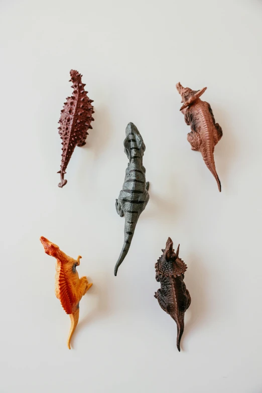 a white plate topped with different types of sea animals, inspired by Adam Rex, trending on unsplash, visual art, vinyl toy figurine, metal dragon tail, wall, terracotta