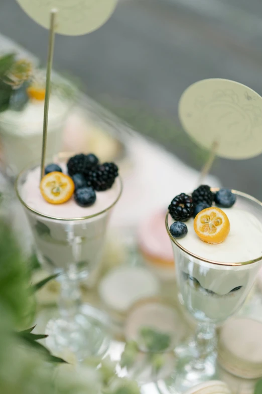 a couple of desserts sitting on top of a table, by Lucette Barker, silver small glasses, midsommar color theme, vanilla smoothie explosion, clear focused details