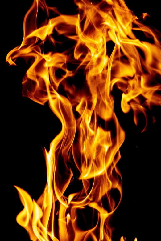 a close up of a fire on a black background, by Jan Rustem, avatar image, taken in the late 2010s, stacked image, scientific photo