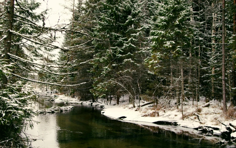 a stream running through a forest filled with snow, a photo, shoreline, fir trees, watch photo, screensaver