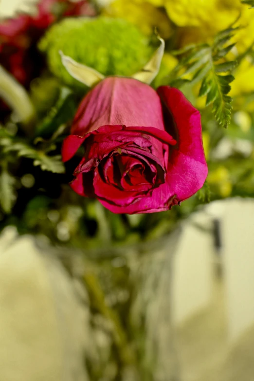 a close up of a vase of flowers on a table, holding a red rose, up-close, rich deep pink, rip