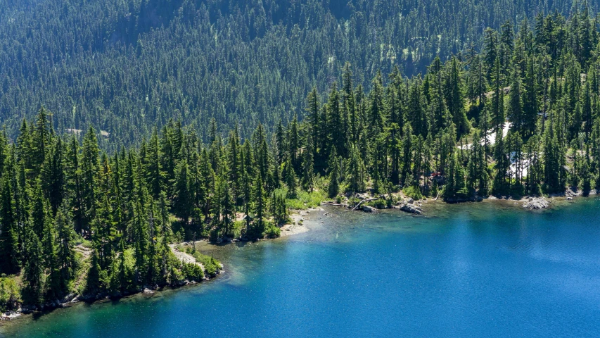 a large body of water surrounded by trees, by Jessie Algie, pexels contest winner, cascadia, lake blue, telephoto shot, teaser