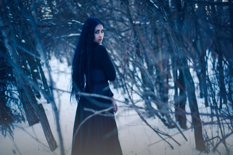 a woman with long black hair standing in the snow, inspired by Elsa Bleda, pexels contest winner, gothic art, avatar image, medium format. soft light, instagram photo, in the wood