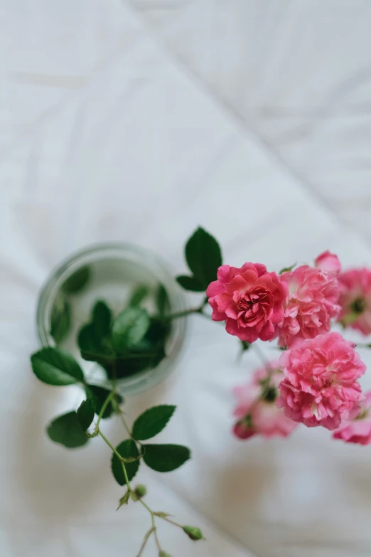 a vase filled with pink flowers sitting on top of a bed, trending on unsplash, romanticism, white tablecloth, low quality photo, flowers growing out of his body, uncropped