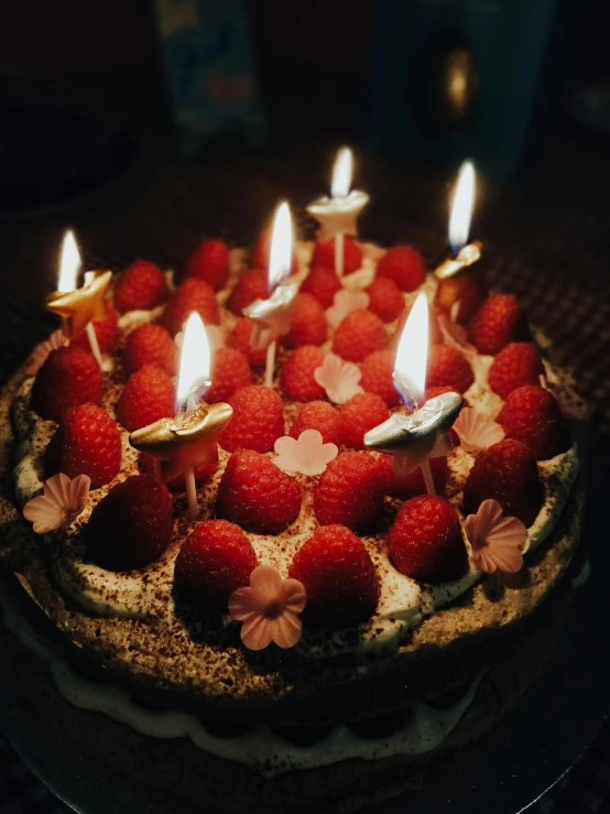 a close up of a cake with candles on it, by Adam Marczyński, pexels contest winner, hyperrealism, raspberries, instagram story, birthday party, profile image