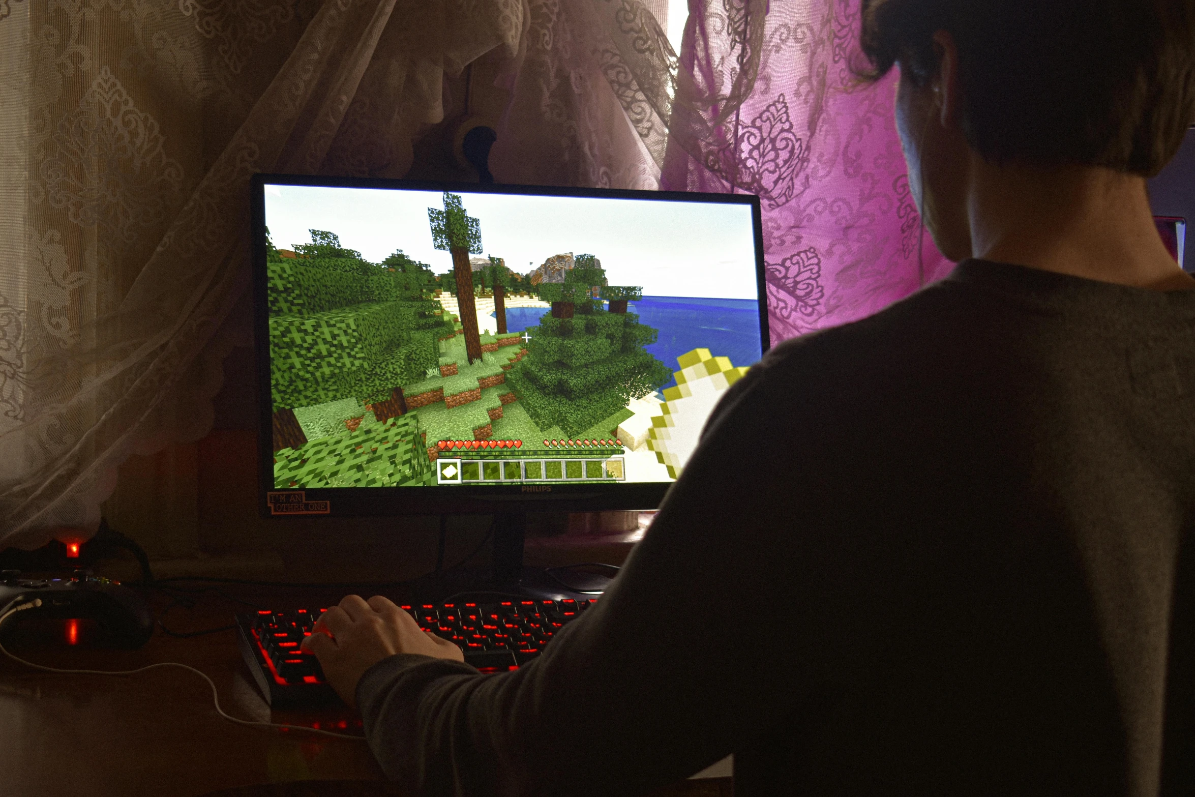 a person playing a video game on a computer, by Julia Pishtar, pexels, minecraft in real life, avatar image, instagram picture, plataform game