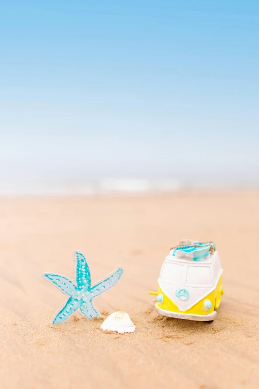 a couple of starfishs sitting on top of a sandy beach, product display photograph, cute details, square, van