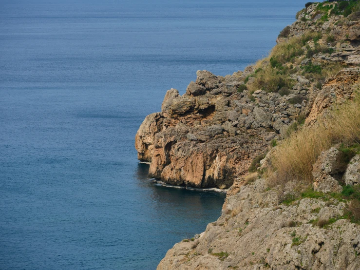 a couple of sheep standing on top of a cliff next to the ocean, pexels contest winner, les nabis, marbella, thumbnail, sharp spiky rocks, geological strata