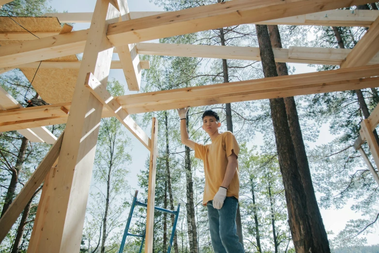 a man standing on top of a wooden structure, a portrait, by Julia Pishtar, unsplash, carpenter, roofed forest, avatar image, inside a shed