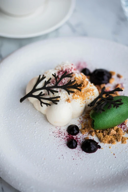 a close up of a plate of food on a table, by Lee Loughridge, dessert, white, eucalyptus, white desert