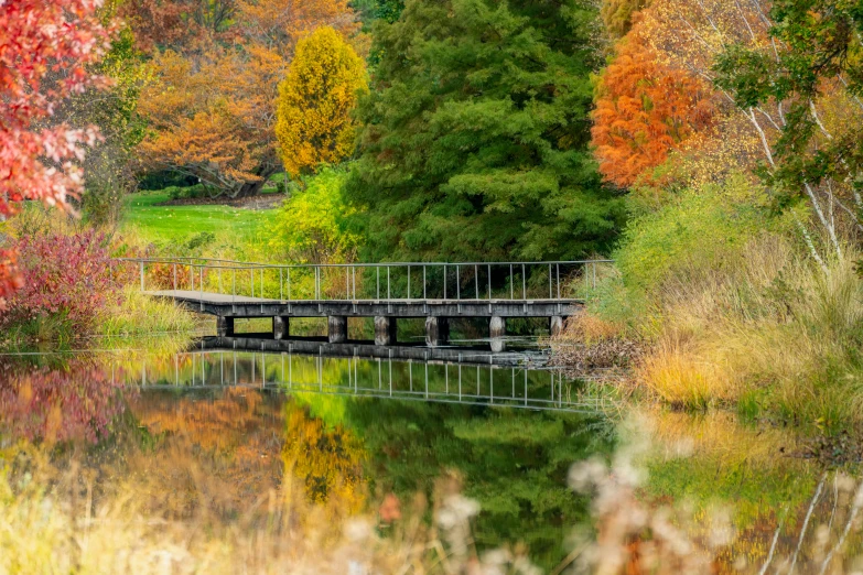 a wooden bridge over a body of water surrounded by trees, inspired by Frederick McCubbin, pexels contest winner, grassy autumn park outdoor, layers of colorful reflections, a wooden, a colorful