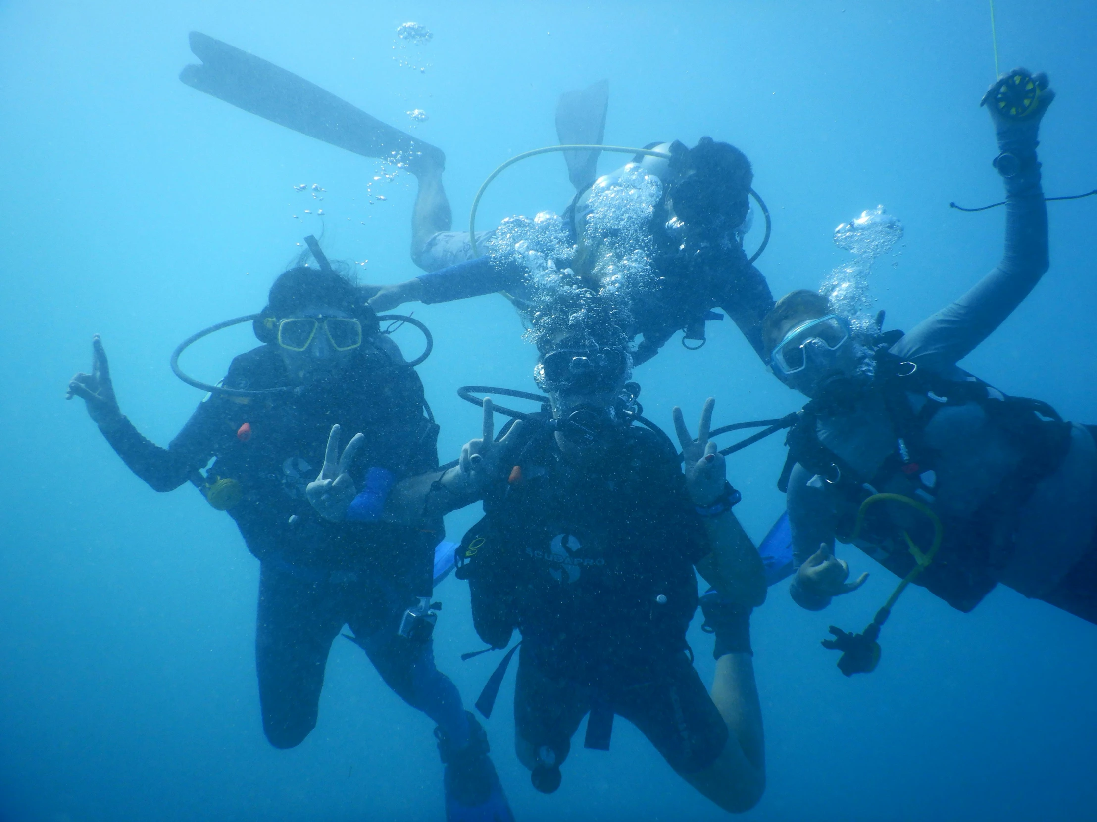 a group of people that are in the water, scuba diving, profile image, unedited, front facing shot