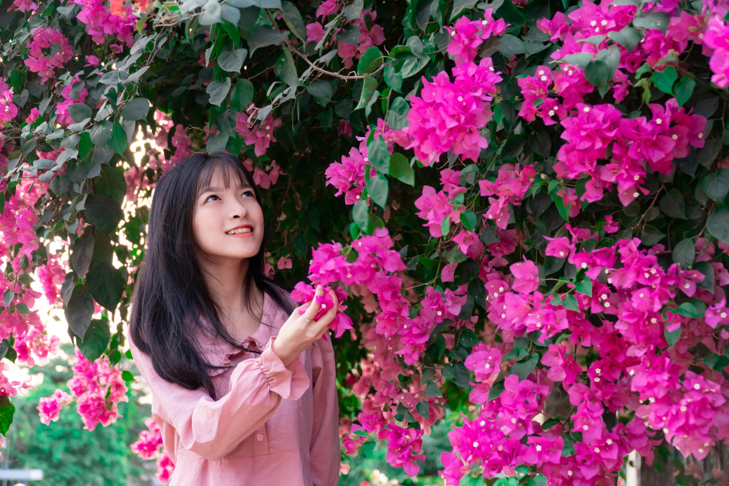 a woman standing in front of a bush of pink flowers, inspired by Kim Jeong-hui, pexels contest winner, bougainvillea, young and cute girl, avatar image, hoang long ly