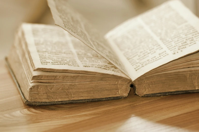 an open book sitting on top of a wooden table, faded parchment, thumbnail, controversial, bible