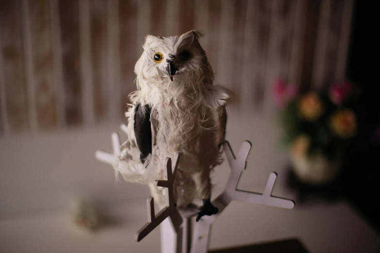 a close up of a toy bird on a table, bushy white beard, owls, dark and white, product display photograph