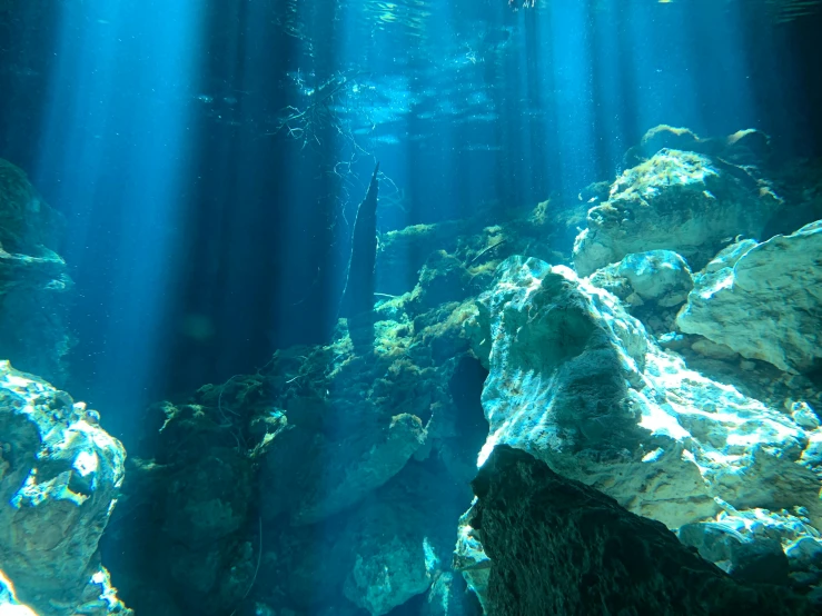 a man standing on top of a rock under water, rays of shimmering light, crystal clear blue water, aisles of aquariums, filmstill