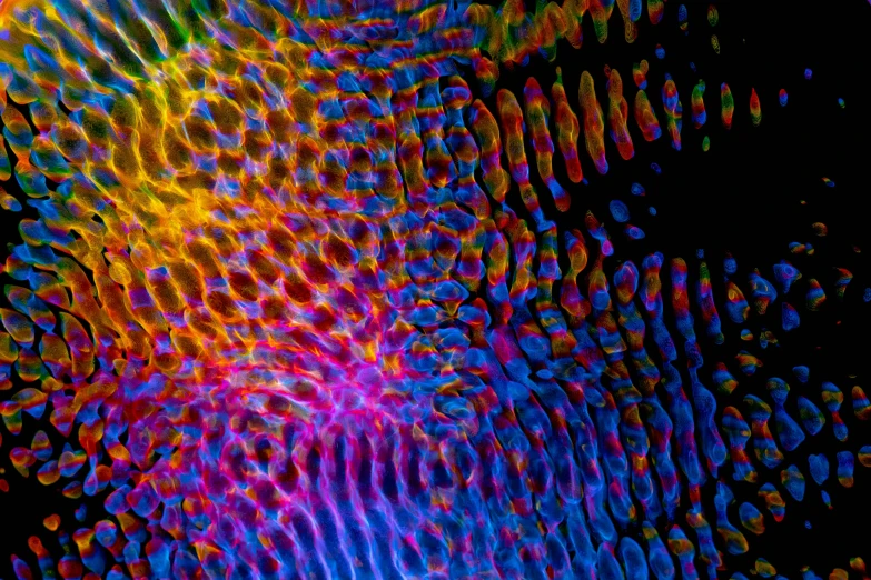 a close up of the inside of a cell phone, a microscopic photo, by Jan Rustem, generative art, iridescent scales, vibrant scattered light, chromostereopsis, red and blue black light