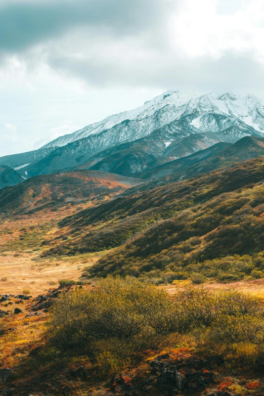 a field with a mountain in the background, inspired by Elsa Bleda, trending on unsplash, earth colors, bushes, snowy craggy sharp mountains, a high angle shot