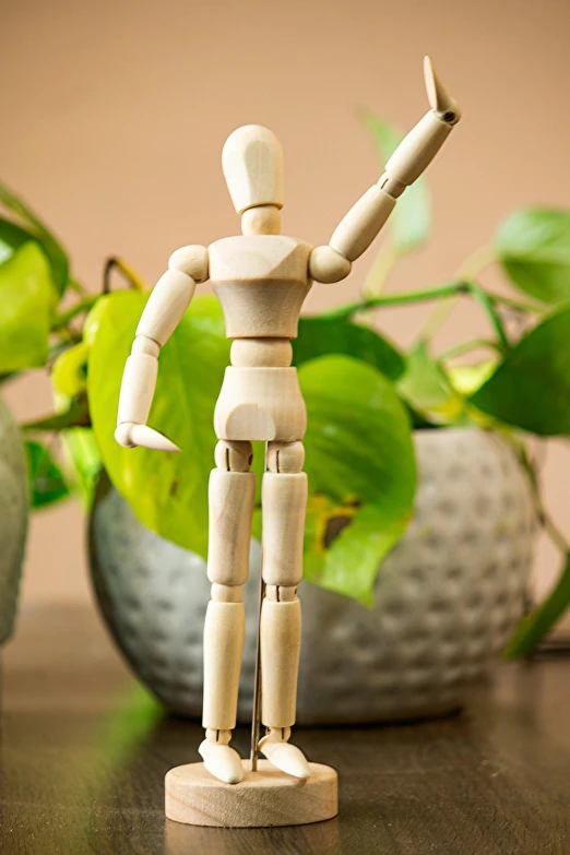 a wooden mannequin stands in front of a potted plant, inspired by Constantin Hansen, hero action pose, acton figure, joints, feeling good