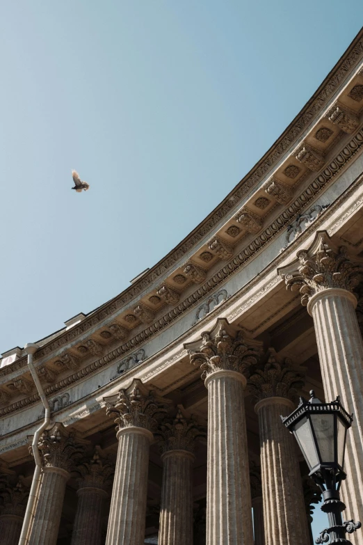 a large building with columns and a bird flying in the sky, by Nina Hamnett, pexels contest winner, neoclassicism, rounded roof, buenos aires, books flying around, high resolution photo