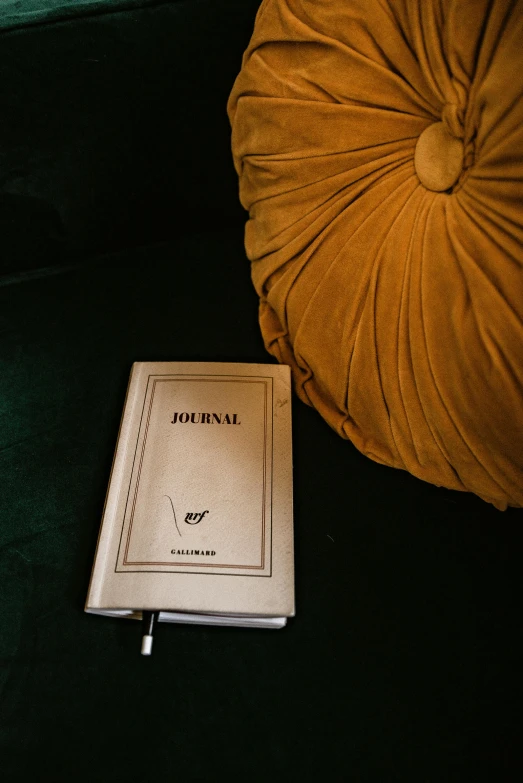 a book sitting on top of a green couch next to a pillow, luxury journal cover, ignant, thumbnail, - 8