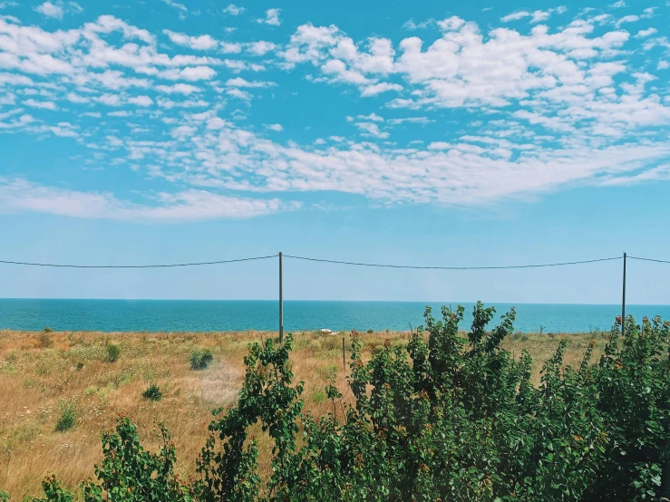 a view of the ocean from the top of a hill, an album cover, unsplash, romanticism, ukraine. photography, cloudless sky, trending on vsco, with a few vines and overgrowth