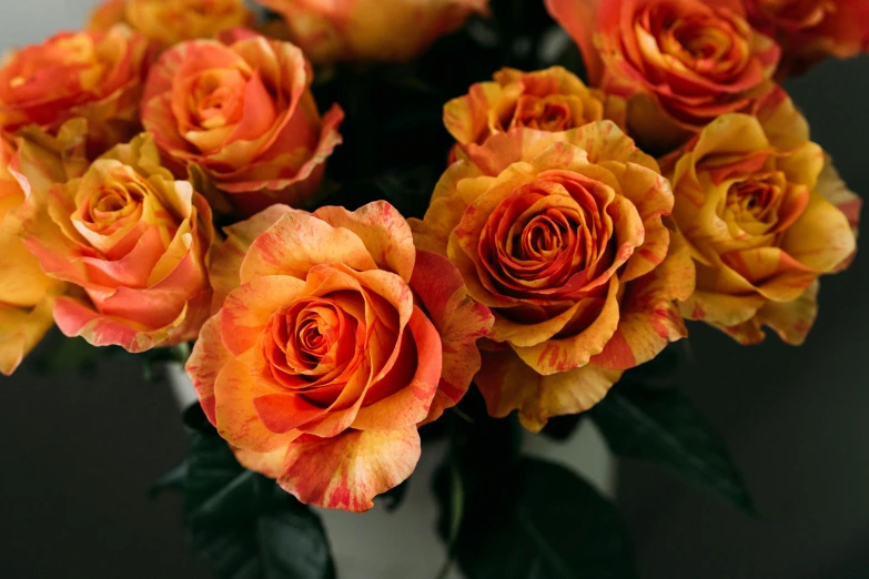 a bouquet of orange roses in a white vase, pexels, romanticism, shades of gold display naturally, gradient yellow to red, zoomed out shot, grey orange