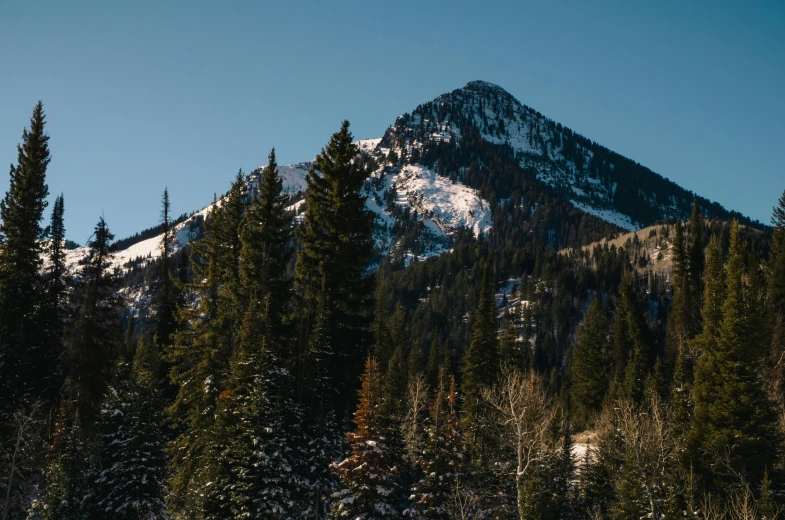 a man riding a snowboard down a snow covered slope, by Morgan Russell, unsplash contest winner, detailed trees and cliffs, standing in front of a mountain, utah, sparse pine trees