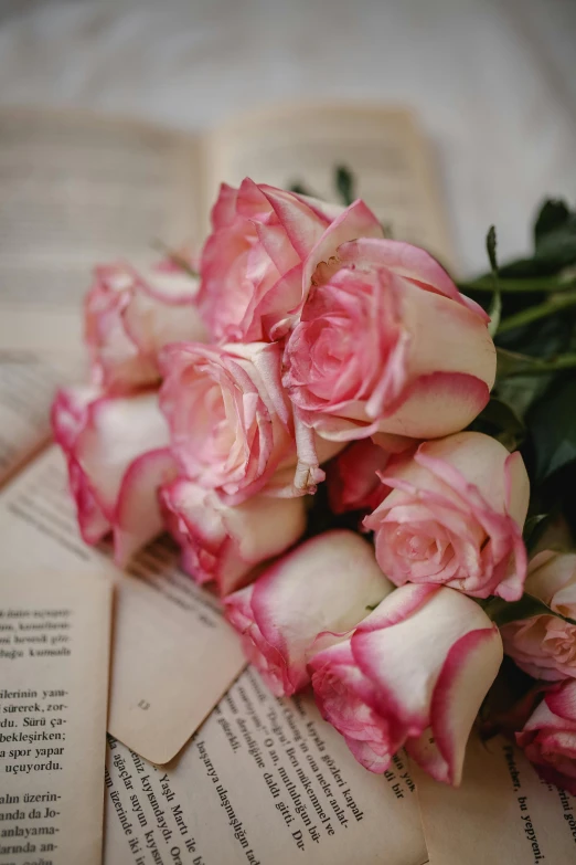 a bunch of pink roses sitting on top of an open book, inspired by Valentine Hugo, romanticism, zoomed in