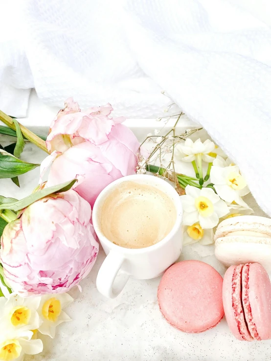 a white plate topped with macarons and a cup of coffee, by Lucia Peka, romanticism, roses and tulips, pastel pink robes, snapchat photo, productphoto