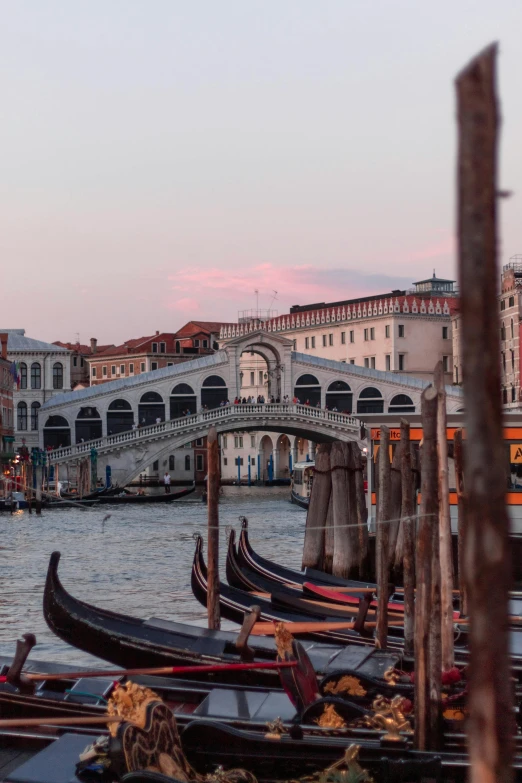 a number of boats in a body of water near a bridge, by Carlo Martini, pexels contest winner, renaissance, gondolas, profile image, pink arches, late summer evening