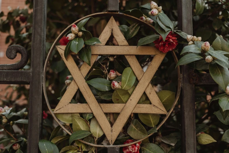 a wooden star of david hanging on a gate, trending on pexels, rose thorn crown, triangle inside circle, vintage aesthetic, avatar image