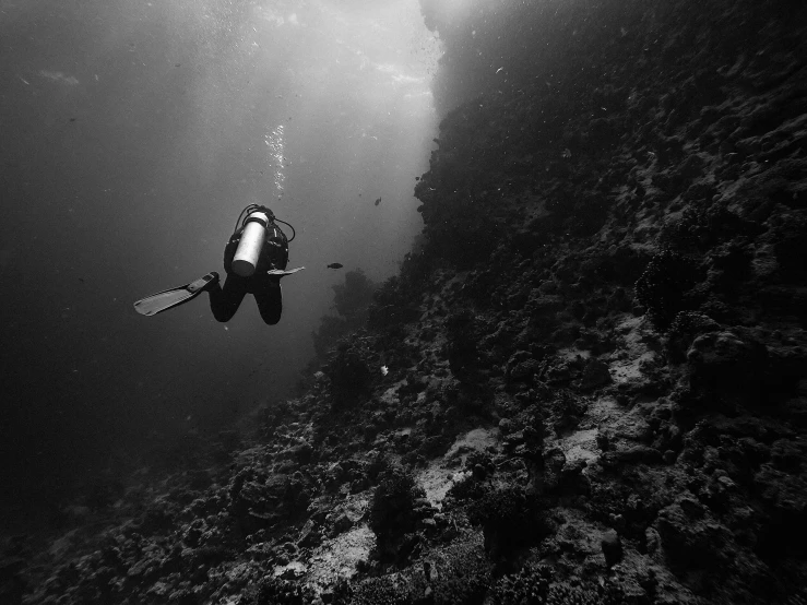 a black and white photo of a scuba diver, by Thomas Fogarty, pexels contest winner, purism, elegant coral sea bottom, videogame still, narrow, terrain