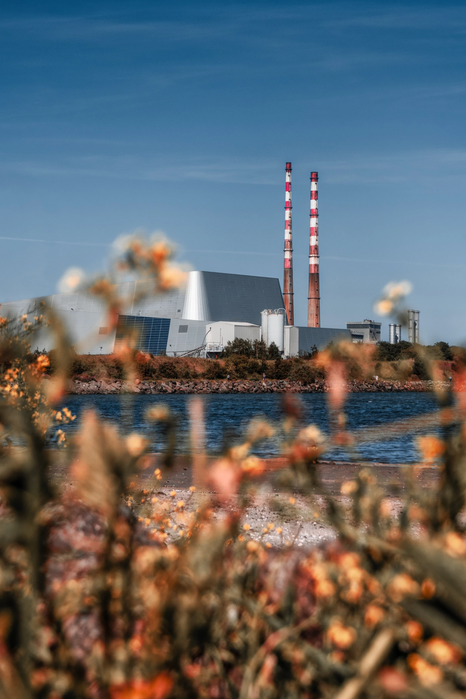 a nuclear power plant near a body of water, a picture, by Sven Erixson, pexels contest winner, purism, bushes in the foreground, wrapped in cables and flowers, color ( sony a 7 r iv, celtic