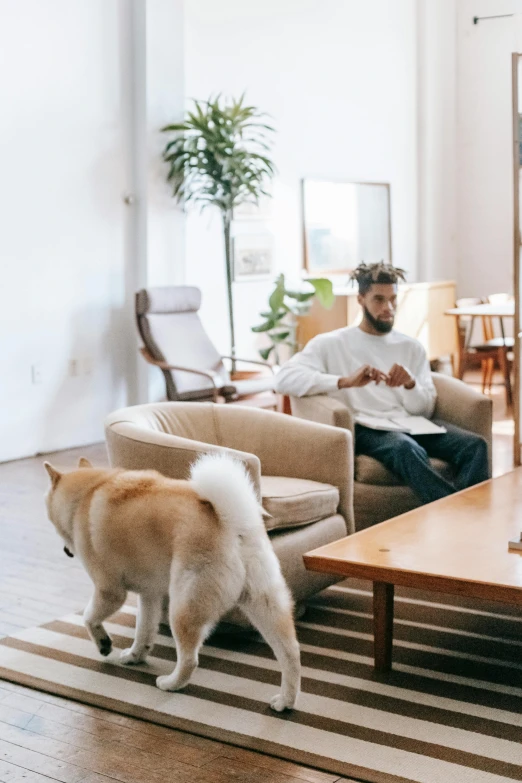 a man and a dog in a living room, trending on unsplash, bjarke ingels, japanese dog, riyahd cassiem, small hipster coffee shop