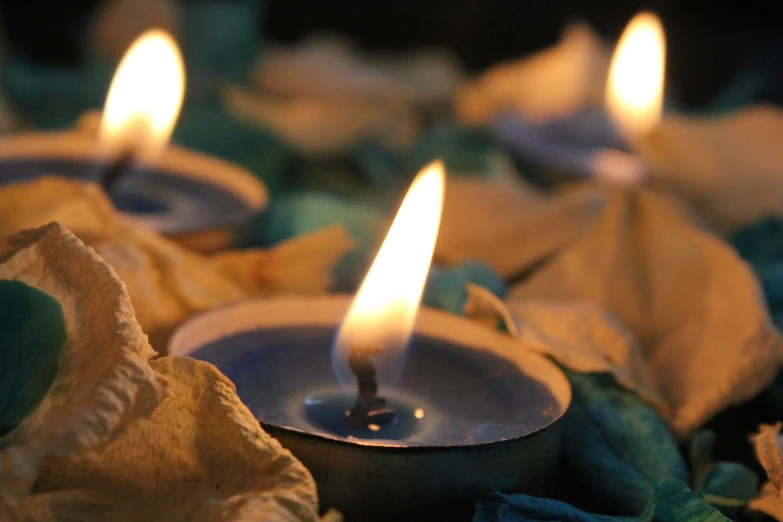 a group of lit candles sitting on top of a pile of leaves, by Alice Mason, unsplash, process art, blue and green light, sufism, linen, panels