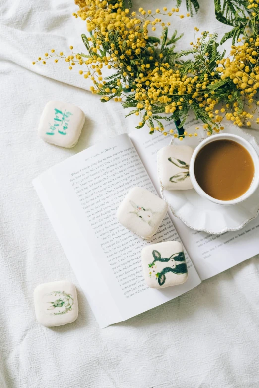 an open book sitting on top of a bed next to a cup of coffee, a picture, by Tan Ting-pho, unsplash, process art, made of all white ceramic tiles, macaron, herbs, square