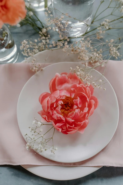 a close up of a plate with a flower on it, inspired by Pierre-Joseph Redouté, unsplash, romanticism, white and pink cloth, celebration, coral, peony