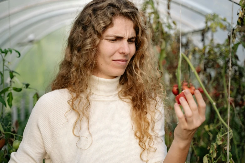 a woman holding a tomato in a greenhouse, a picture, by Julia Pishtar, trending on pexels, renaissance, exasperated, squashed berries dripping, avatar image, raspberry