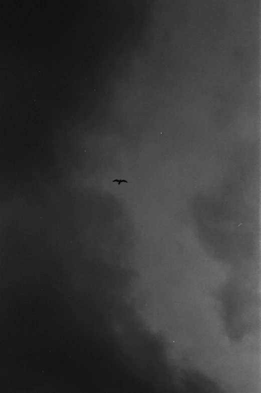 a black and white photo of a bird in the sky, 6 june 1944, ansel ], 1 9 2 7, dark negative space