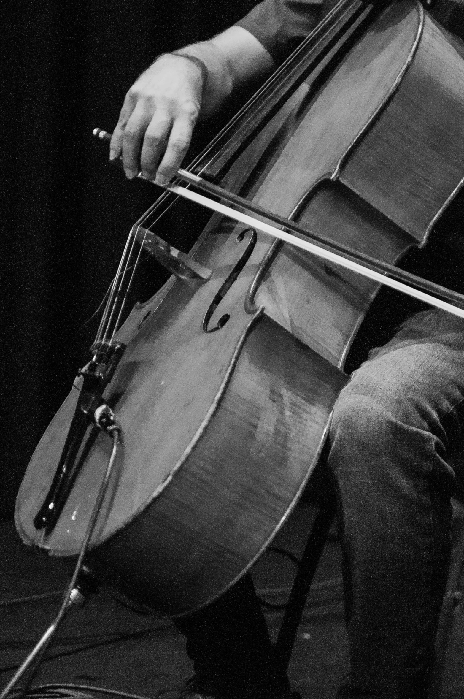 a black and white photo of a man playing a cello, flickr, getty images, promo image, uploaded, detail
