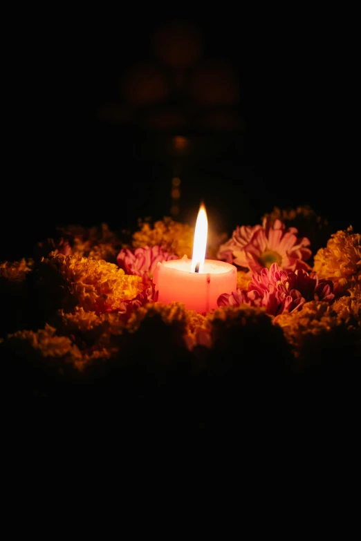 a lit candle surrounded by flowers in the dark, circle