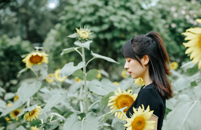 a woman standing in a field of sunflowers, by Tan Ting-pho, sui ishida with black hair, looking sideway, high quality photo, thoughtful )