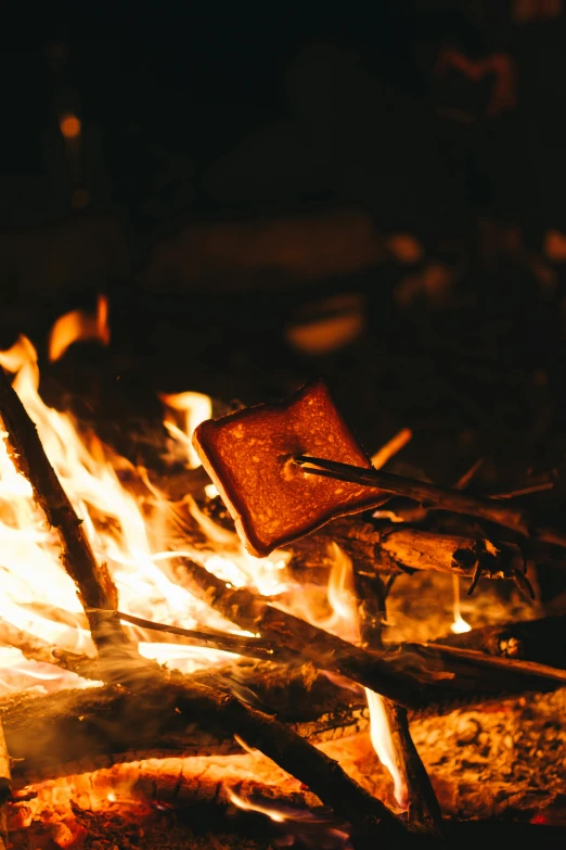 a group of people sitting around a campfire, marshmallow graham cracker, up close, square, cinematic image