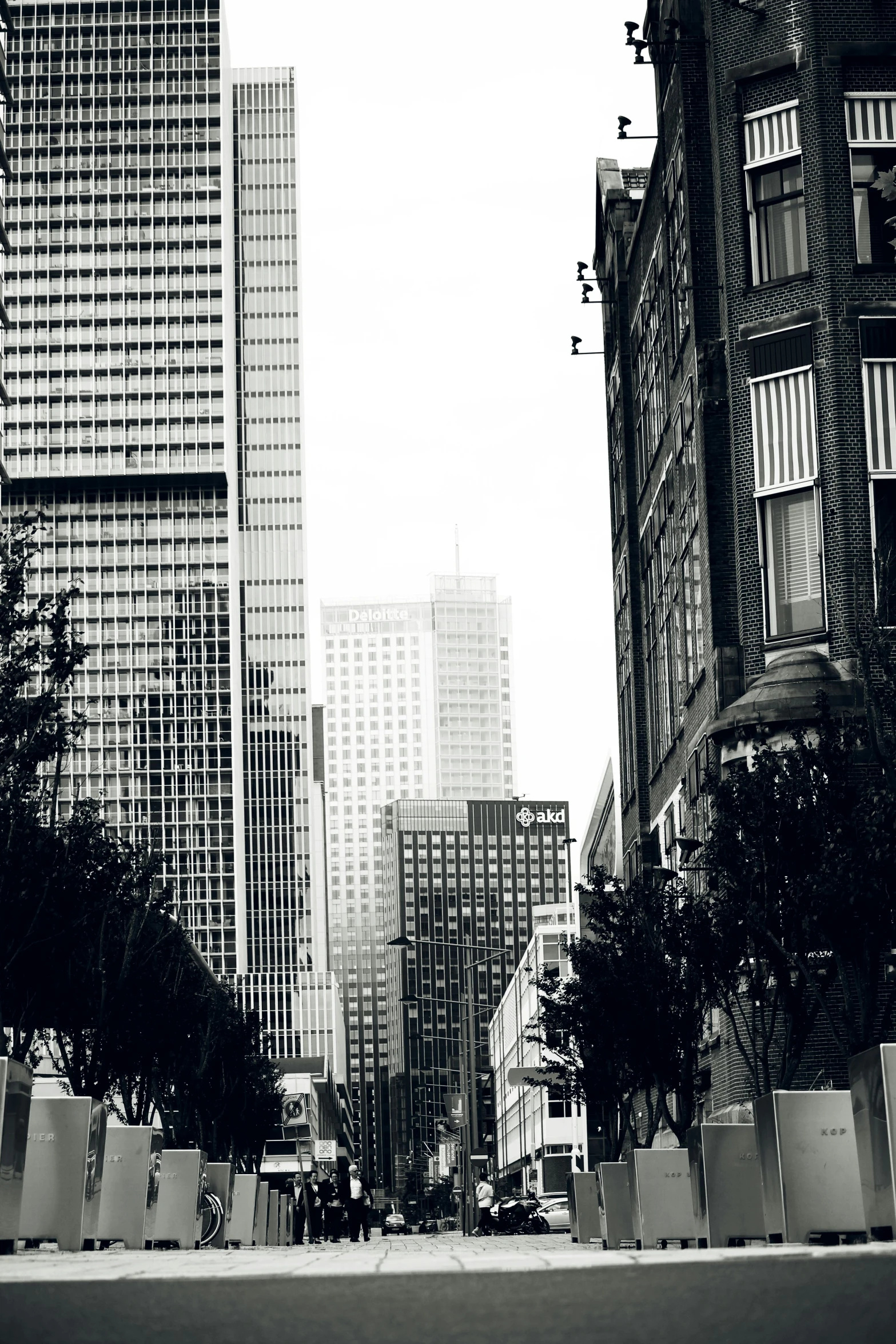 a black and white photo of a city street, skyscrapers with greenery, misty alleyway, san francisco, color photo