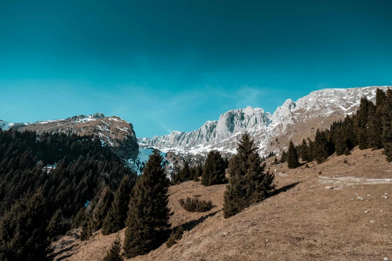 a view of the mountains from the top of a hill, pexels contest winner, les nabis, alps, clear blue skies, brown, conde nast traveler photo